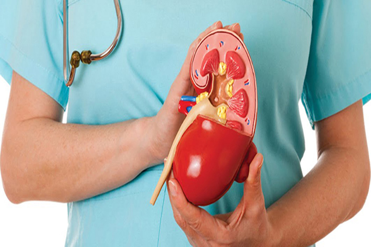 Kidney Department