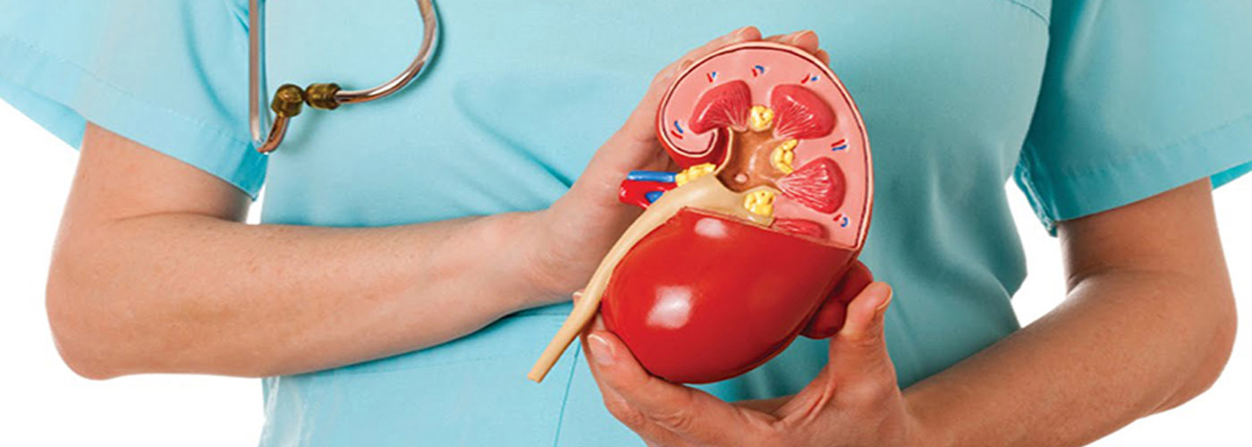 Kidney Department Banner