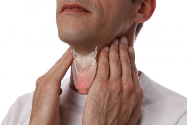 Thyroid Gland Location